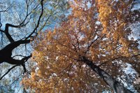 010309_0801_0231_nsls.jpg
