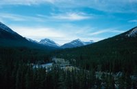 010309_0801_0228_nsls.jpg