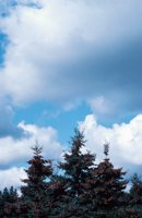 010309_0801_0224_nsls.jpg