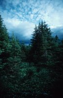 010309_0801_0223_nsls.jpg