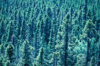 010309_0801_0222_nsls.jpg