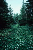 010309_0801_0221_nsls.jpg