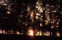 010309_0801_0220_nsls.jpg