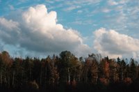 010309_0801_0219_nsls.jpg