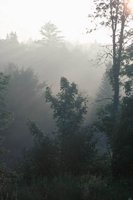 010309_0801_0218_nsls.jpg