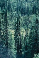 010309_0801_0217_nsls.jpg