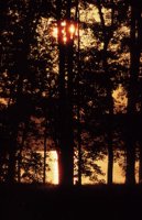 010309_0801_0216_nsls.jpg