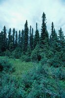 010309_0801_0213_nsls.jpg