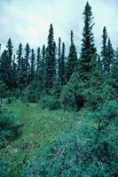 010309_0801_0212_nsls.jpg
