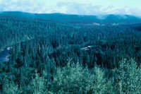 010309_0801_0211_nsls.jpg