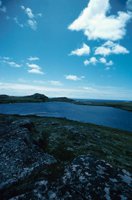 010309_0801_0209_nsls.jpg