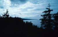 010309_0801_0206_nsls.jpg