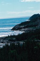 010309_0801_0205_nsls.jpg