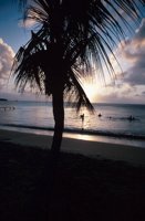 010309_0801_0184_nsls.jpg