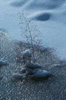 010309_0801_0178_nsls.jpg