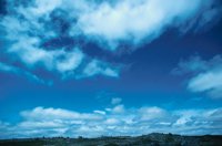 010309_0801_0174_nsls.jpg
