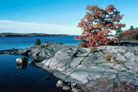 010309_0801_0173_nsls.jpg