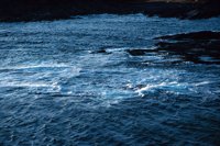 010309_0801_0172_nsls.jpg