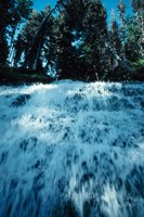 010309_0801_0163_nsls.jpg