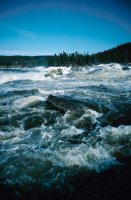 010309_0801_0159_nsls.jpg
