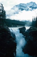 010309_0801_0150_nsls.jpg