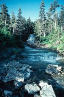 010309_0801_0149_nsls.jpg