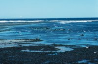 010309_0801_0132_nsls.jpg