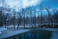 010309_0801_0119_nsls.jpg