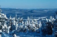 010309_0801_0118_nsls.jpg