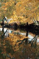 010309_0801_0116_nsls.jpg
