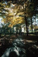 010309_0801_0113_nsls.jpg