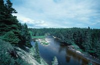 010309_0801_0112_nsls.jpg