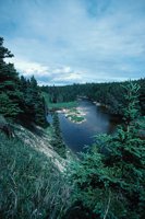 010309_0801_0110_nsls.jpg