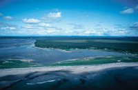 010309_0801_0109_nsls.jpg
