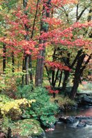 010309_0801_0100_nsls.jpg