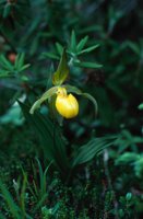 010309_0801_0052_nsls.jpg
