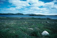 010309_0801_0010_nsls.jpg