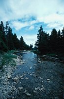 010309_0801_0009_nsls.jpg
