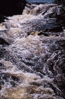 010309_0801_0008_nsls.jpg