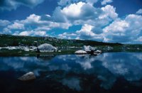 010309_0801_0007_nsls.jpg
