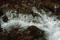 010309_0801_0006_nsls.jpg