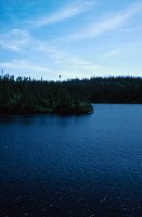 010309_0801_0005_nsls.jpg