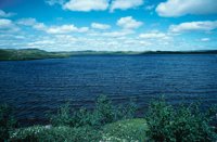 010309_0801_0004_nsls.jpg