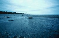 010309_0801_0001_nsls.jpg