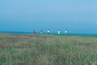 010309_0775_0899_nsls.jpg