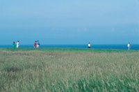 010309_0775_0898_nsls.jpg