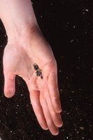 010109_0617_0111_nsls.jpg