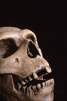 010105_0612_0042_nsls.jpg