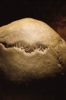 010105_0612_0018_nsls.jpg