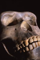 010105_0612_0016_nsls.jpg